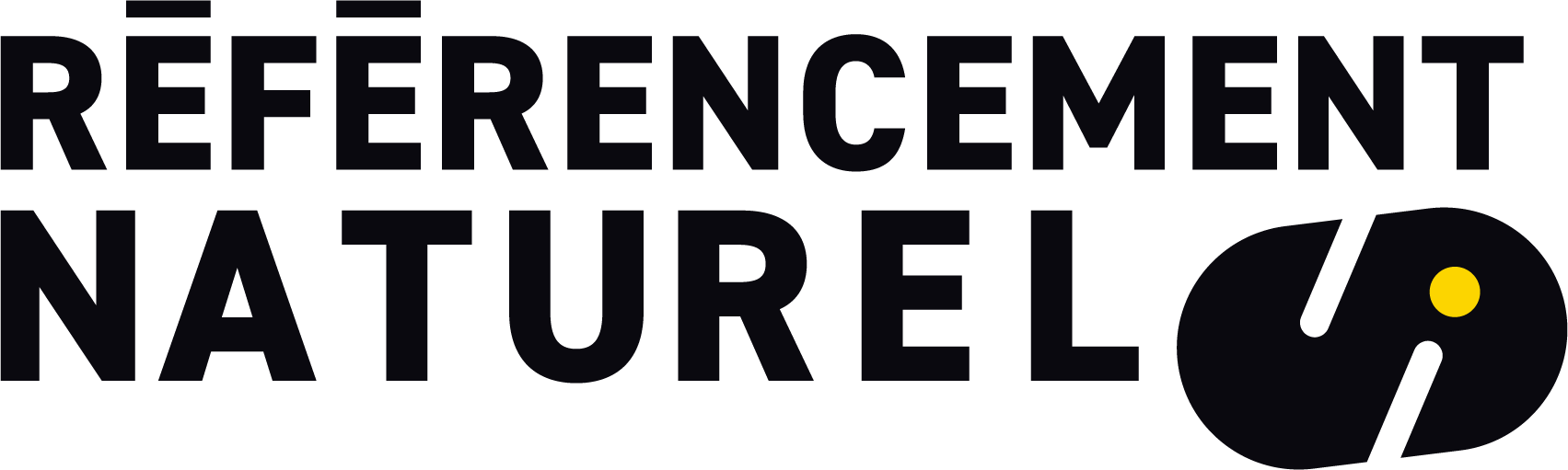 referencement naturel pro